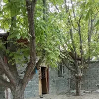 باغ گردو 500متردارای بنا130متری