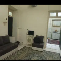 نیازمند همخونه موجه