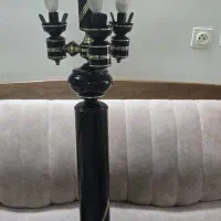 اباژور ایستاده بلند