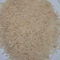 برنج فجر سوزنی پائیزه