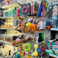 ظرف اب غذا چوبی استیل سرامیکی|لوازم جانبی حیوانات|مشهد, گلبرگ|دیوار