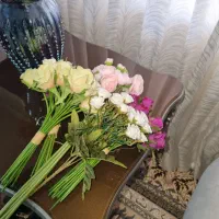 گلدان به همراه هشت بوته گل خارجی