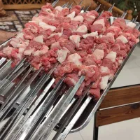 نیروی سالن کار آقا