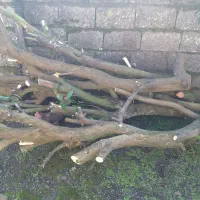 یک کامیون پر|خودرو سنگین|چابکسر, |دیوار