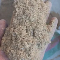 آذوقه حیوانات