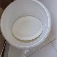 گلدان رنگی با گل|گل و گیاه طبیعی|مشهد, گلبرگ|دیوار