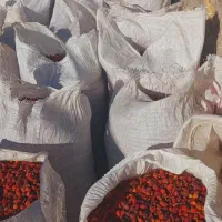 میوه نسترن|خوردنی و آشامیدنی|سلماس, |دیوار