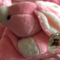 کیس خواب دخترانه خرگوشی