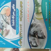 انواع ماهی های دریایی وپرورشی شمال وجنوب