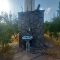 باغ بادام تجاری با ویژگیهای خاص