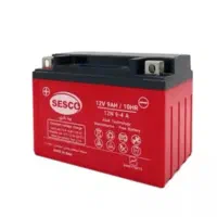 باطری استارتی و دسته ماهیچه موتور