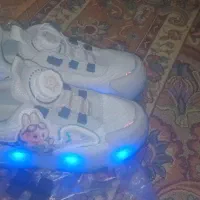 کفش اسکیت دار|دوچرخه، اسکیت، اسکوتر|قدس, شهر‌قدس|دیوار