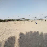 جوشکاری گلخانه|خدمات پیشه و مهارت|کهنوج, |دیوار