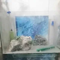 آکواریوم بزرگ باهمه وسایل