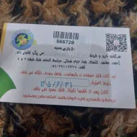 کار بازی شهربازی‌۵۰ عدد بازی رایگان