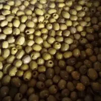 فروش محصولات زیتون رودبار|خوردنی و آشامیدنی|رشت, آزادگان|دیوار