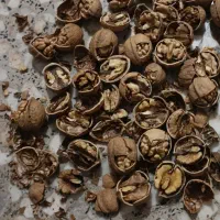 گردو خوش طعم و پرچرب