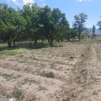 تعدادی کارگر آقا و خانم هستیم