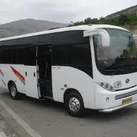 راننده با مینی بوس تمیز