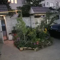 80 متری طبقه همکف امکان تمدید چند سال