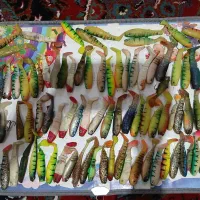 طعمه  مصنوعی  برای ماهیگیری