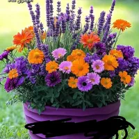 نظافت ساختمان