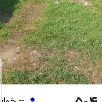 فروش زمین ۲۵۰ متری فاضل آباد