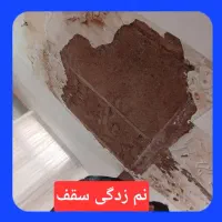 گچکاری و لکه‌گیری فوری یزد و اطراف|خدمات پیشه و مهارت|حمیدیا, |دیوار