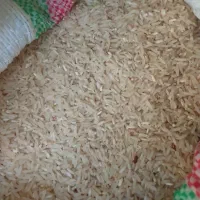 برنج طارم هاشمی محصول امسال