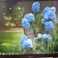 مانیتور19acer|قطعات و لوازم جانبی رایانه|بیرجند, |دیوار