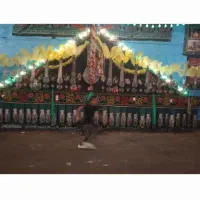 علامت ۱۹ تیغ