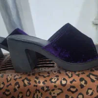 صندل|کیف، کفش، کمربند|لردگان, |دیوار