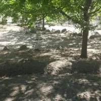 خانه باغ دلفارد|فروش خانه و ویلا|درب بهشت, |دیوار