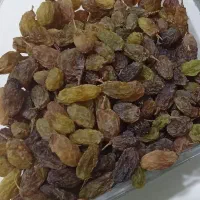 کشمش سایه خشک