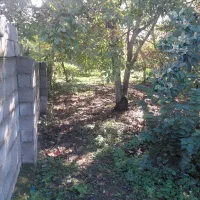 فروش ۴۰۰متر زمین مسکونی حوزه شهری|فروش زمین و ملک کلنگی|شاندرمن, |دیوار