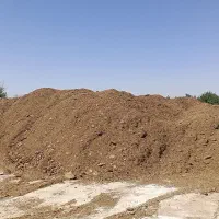 کو اعلا گوسفندی