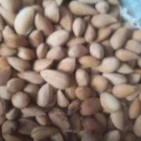 طلا