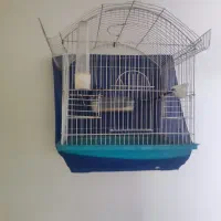 4 عدد قفس قناری
