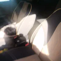 پارس دوگانه فابریک تازه تعمیر|خودرو سواری و وانت|فولادشهر, سایت صنعتی کاوه|دیوار