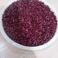 لوبیا قرمز تازه وخوش پخت