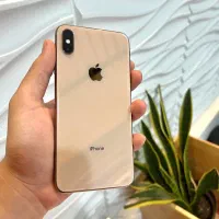 Xs Max 256