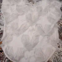 لباس عروس|لباس|بهارستان, |دیوار