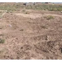 فروش نقد وقسط زمین تمپ ریگان ایرانشهر