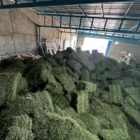 یونجه|خدمات باغبانی و درختکاری|بهبهان, |دیوار