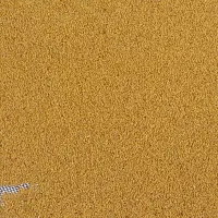 بذریونجه قره اصل