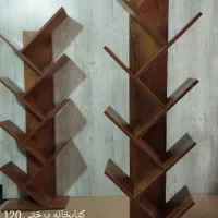 کتابخانه درختی|کتابخانه، شلف، قفسههای دیواری|کرمان, |دیوار