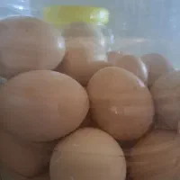 فروش تخم مرغ محلی