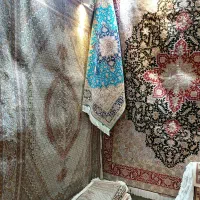 سالاری‌خطیبی‌ماهی‌علیا‌هریس ‌‌ارزیابی‌خریدارو‌فروش