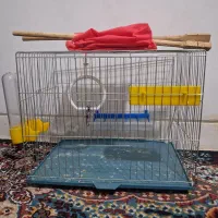 قفس مناسب مرغ عشق