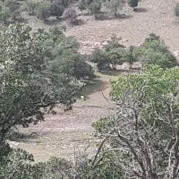 خوابگاه-پسرانه-ابن-سینا
